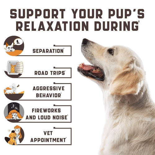 Calming Chews for Labradors with Valerian Root and Hemp Oil