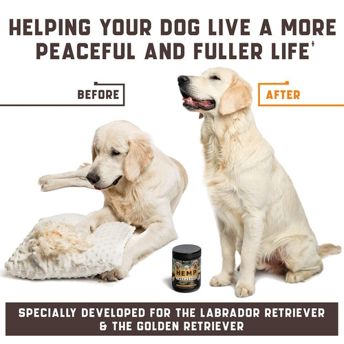Calming Chews for Labradors with Valerian Root and Hemp Oil