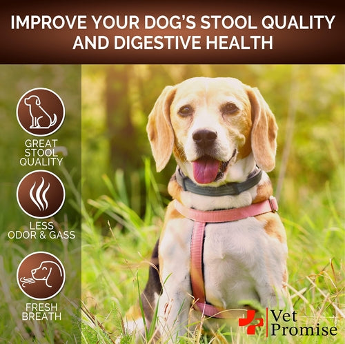 Great Poop Probiotics for Dogs - Dog Stool Softener