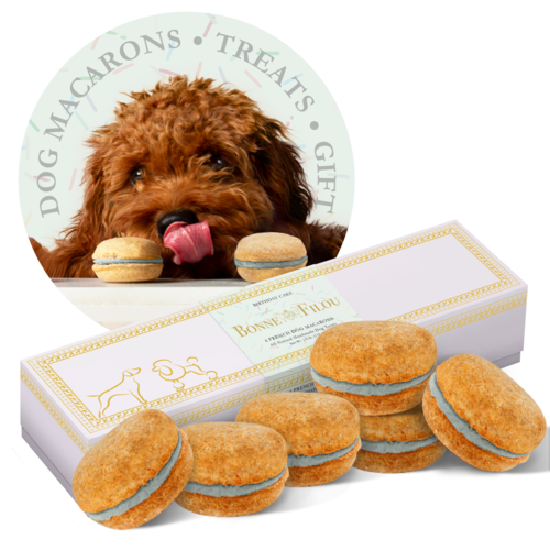 Dog Macarons - Box of 6