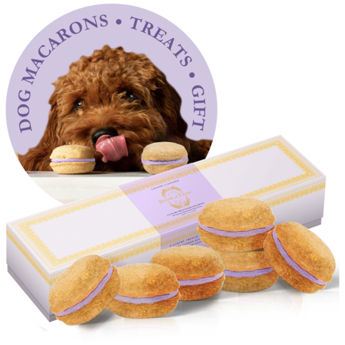 Dog Macarons - Box of 6