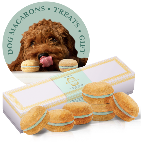 Dog Macarons - Box of 6