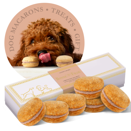 Dog Macarons - Box of 6