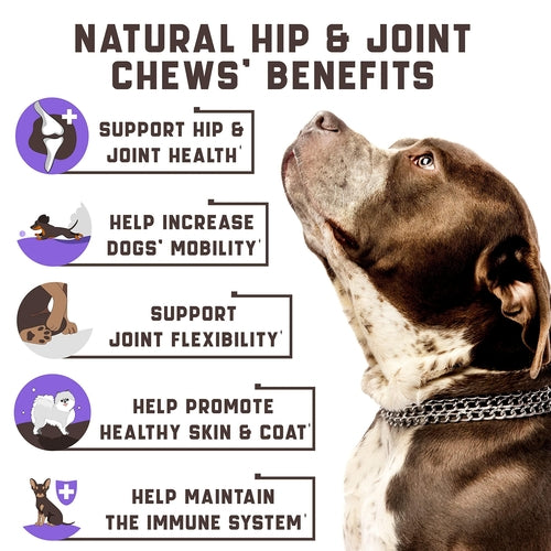 Functional Dog Joint Supplement with Glucosamine