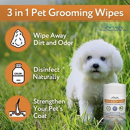 Dog and Cat Wipes with Chlorhexidine and Silk
