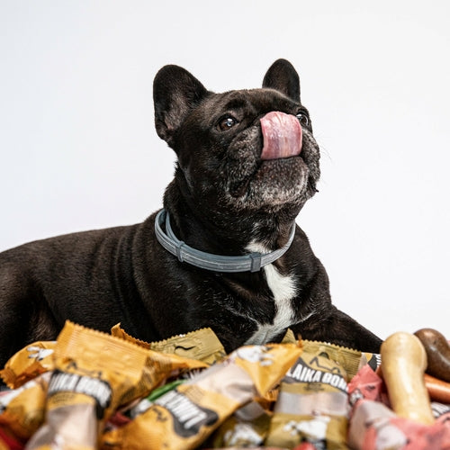 Dog Treats Cheese & Chicken Chews (BOX)