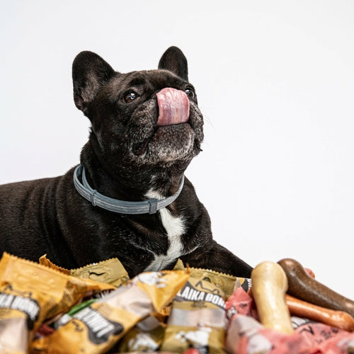 Dog Treats Cheese & Lamb chew (BOX)