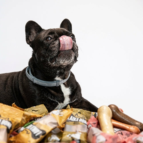 Dog treats Cheese & Ham/Bacon Chew (BOX)