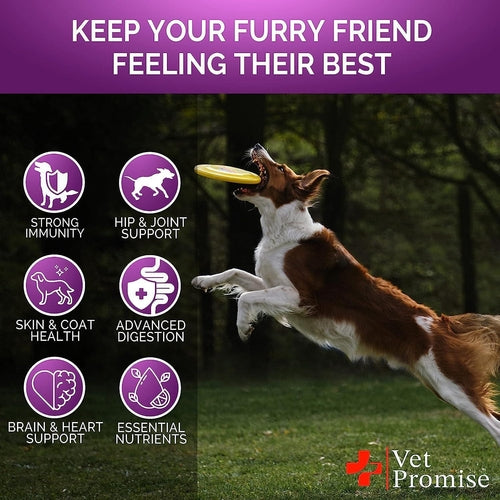Dog catching a frisbee with health benefits icons and 'Vet Promise' branding.