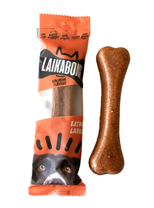 Cheese & Salmon ( BOX )