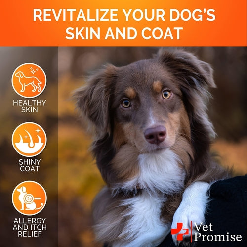 Dog with text 'Revitalize Your Dog's Skin and Coat' and icons for healthy skin, shiny coat, and allergy relief.